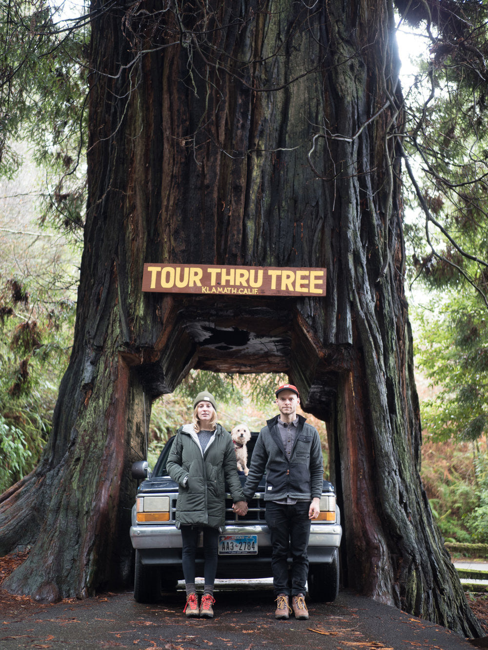#TravelTuesday: Katin Explorer @AmericaYall Ventures Through The Redwoods